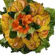 Bánh tôm Bà Ngoại