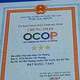 Mực một nắng Cửa Nhượng