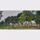 Bana Rita Farm