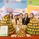 Cam sấy khô Yên Lâm