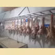 Thịt gà đồi Hiền Tâm