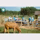 Bana Rita Farm