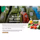 Rau mồng tơi Túy Loan