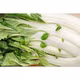 Cải bẹ trắng 500g Afarm