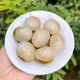 Nhãn Ido
