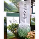 Trà cổ thụ Sà Dề Phìn