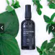 Hydrosol lá trầu không bạc hà