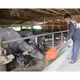 Thịt trâu Bình An 