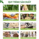 Bông tắm xơ mướp