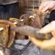 Da trâu khô Tuyên Quang