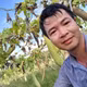Bông tắm xơ mướp