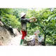 Na dai Lực Hành