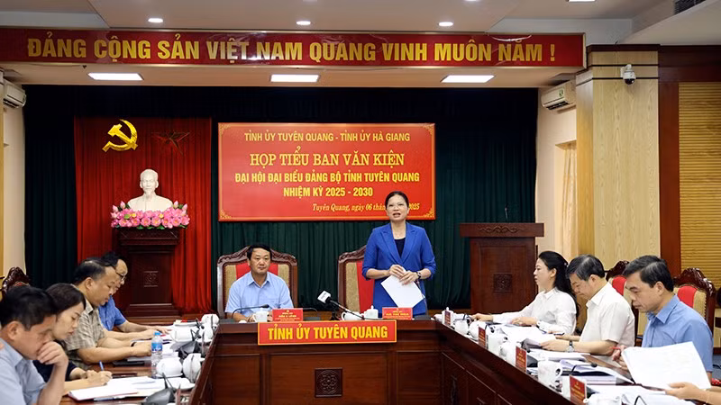Đồng chí Hà Thị Nga, Ủy viên Trung ương Đảng, Bí thư Tỉnh ủy, Trưởng Đoàn đại biểu Quốc hội tỉnh Tuyên Quang phát biểu tại cuộc họp.