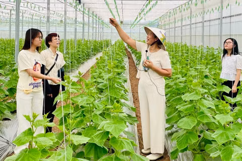 Du khách tham quan trang trại Thanh Nga Luxury. (Ảnh: TRANG ANH)