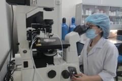 Nghiên cứu khoa học tại Đại học Quốc gia Thành phố Hồ Chí Minh.