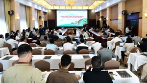 Quang cảnh diễn đàn “Sản xuất mắc-ca đạt tiêu chuẩn VietGAP gắn với liên kết tiêu thụ sản phẩm”