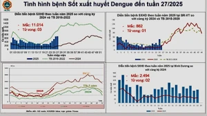 Thống kê diễn biến ca mắc sốt xuất huyết tại Thành phố Hồ Chí Minh.