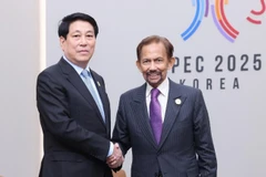 Chủ tịch nước Lương Cường gặp Quốc vương Brunei Hassanal Bolkiah tại Tuần lễ cấp cao APEC 2025. (Ảnh: TTXVN)