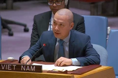 Công sứ Nguyễn Hoàng Nguyên, Đại biện lâm thời Phái đoàn thường trực Việt Nam tại Liên hợp quốc (New York) phát biểu tại phiên họp.