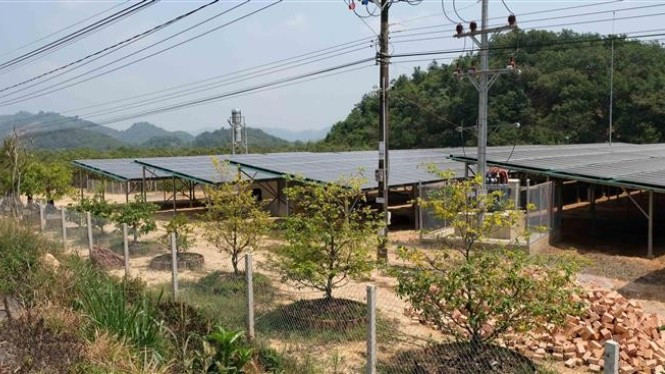 Một công trình điện mặt trời áp mái kết hợp phát triển trang trại nông nghiệp bên dưới tại Đắk Lắk. (Ảnh: Nguyễn Dũng - TTXVN)