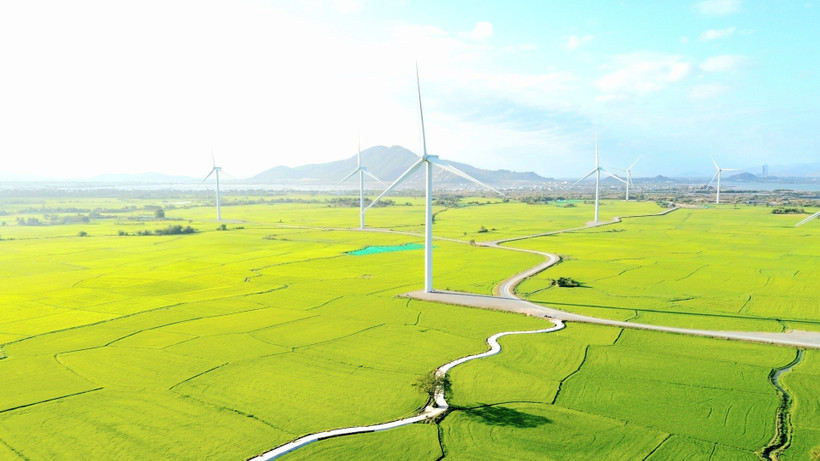 Cánh đồng điện gió Đầm Nại (Ninh Thuận). (Ảnh: Nguyễn Thành – TTXVN)