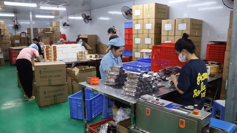 Khu vực đóng gói sản phẩm của Công ty Gold Care.