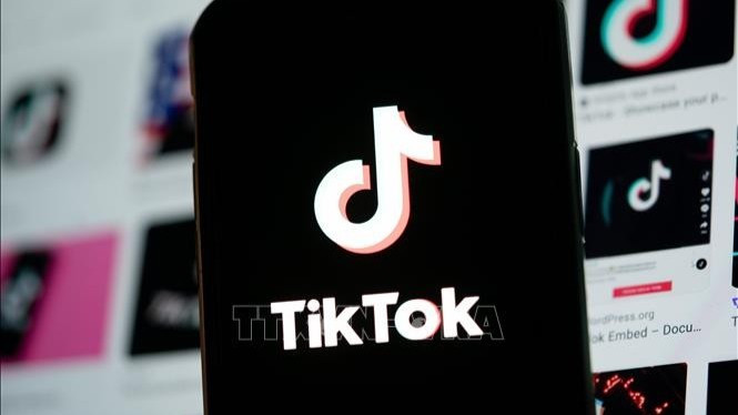 Biểu tượng TikTok trên màn hình điện thoại ở Arlington, Virginia, Mỹ. (Ảnh: THX/TTXVN)