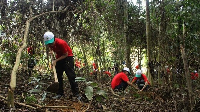 Trong ảnh: Các em học sinh và các tình nguyện viên tham gia trồng rừng tại Vườn quốc gia Bến En, tỉnh Thanh Hóa. (Ảnh: Trịnh Duy Hưng - TTXVN)