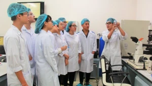 Sinh viên Đại học Quốc gia Thành phố Hồ Chí Minh tham gia nghiên cứu khoa học.