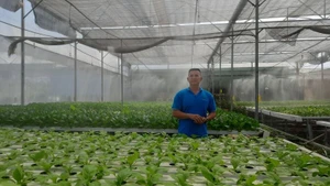 Hợp tác xã Nông nghiệp Tuấn Ngọc tiên phong ứng dụng công nghệ thông tin trong trồng rau thủy canh.