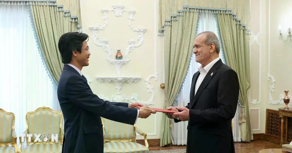 Đại sứ Nguyễn Lương Ngọc trình Thư ủy nhiệm lên Tổng thống Iran Masoud Pezekian. (Nguồn: Thế giới và Việt Nam)