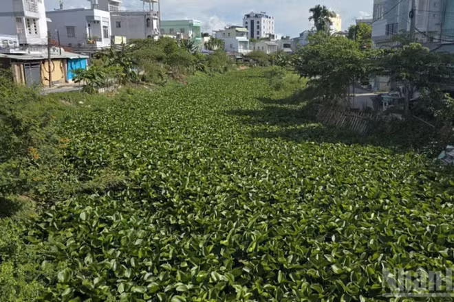 Tình trạng ô nhiễm chung của Rạch Cái Sơn, Rạch Bà Bầu, Rạch Ông Mạnh.