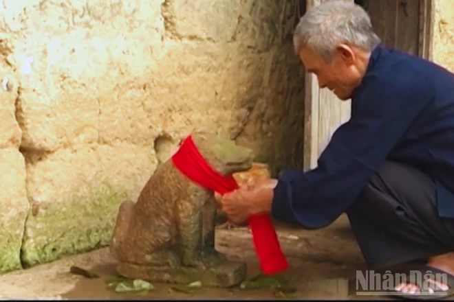 Đến Tết, chó đá Ma-hin không chỉ được tắm mà còn được choàng một chiếc khăn đỏ.