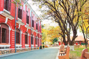 Không gian xanh tại Trường Quốc học Huế.