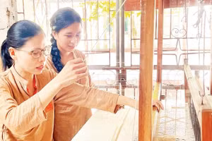 Mô hình tạo việc làm cho nhiều lao động tại địa phương.