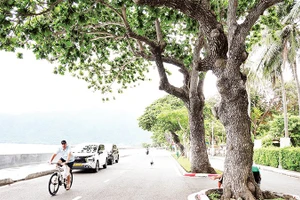 Đặc khu Côn Đảo đang triển khai nhiều giải pháp về kinh tế tuần hoàn để hướng tới các mục tiêu phát triển bền vững.