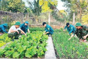 Cán bộ, chiến sĩ Ban Chỉ huy quân sự xã Ia Rvê chăm sóc vườn rau xanh.
