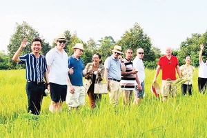 Chuyên gia nước ngoài tham quan dự án Cộng đồng nông nghiệp thuận thiên.