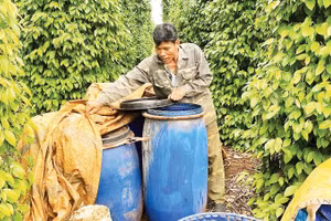 Nông dân Lâm Đồng ủ phân hữu cơ từ phế phẩm nông nghiệp.