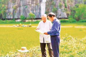 Họa sĩ Phúc Khôi cùng đại diện Ban Quản lý Khu du lịch kiểm tra tiến độ sinh trưởng của lúa. 