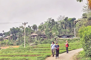 Du khách nước ngoài trải nghiệm, khám phá hệ sinh thái ở Pù Luông, tỉnh Thanh Hóa.