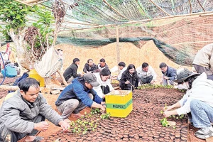 Đông đảo cán bộ, nhân dân và học sinh cùng tham gia các hoạt động sản xuất nông nghiệp.