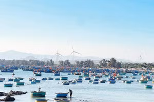 Vùng biển Cổ Thạch (xã Liên Hương) với nhiều thuyền thúng tạo nên cảnh đẹp hoang sơ.