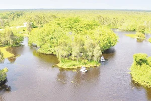 Vườn quốc gia U Minh Thượng nhìn từ trên cao.