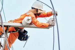 Công nhân Công ty Điện lực Đắk Lắk sửa chữa, cải tạo lưới điện.