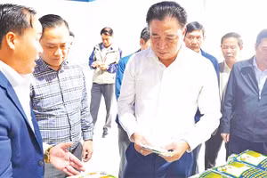 Thành phố Huế đã ban hành nhiều chính sách hỗ trợ nhằm thu hút doanh nghiệp đầu tư vào lĩnh vực phát triển kinh tế xanh, kinh tế tuần hoàn.