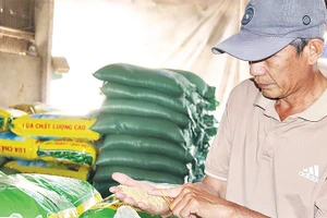 Nông dân xã Thoại Sơn vui mừng nhận lúa giống triển khai mô hình trồng lúa chất lượng cao.