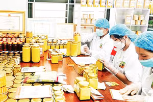 Thành viên Hợp tác xã Nông nghiệp Tân Thành (phường Bắc Kạn) đóng gói sản phẩm tinh bột nghệ. (Ảnh T .L)