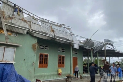 Lốc xoáy quét qua lúc rạng sáng khiến khoảng 20 nhà dân ở xã Nguyễn Nghiêm (Quảng Ngãi) bị tốc mái, hư hỏng nặng. 
