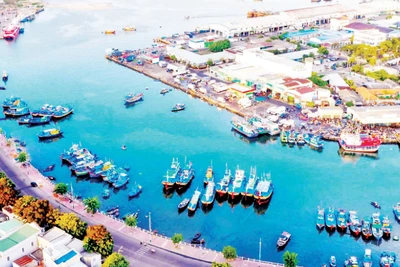 Phía đông nam Lâm Đồng giữ vai trò đầu mối kết nối ra biển, với lợi thế về năng lượng tái tạo và logistics.